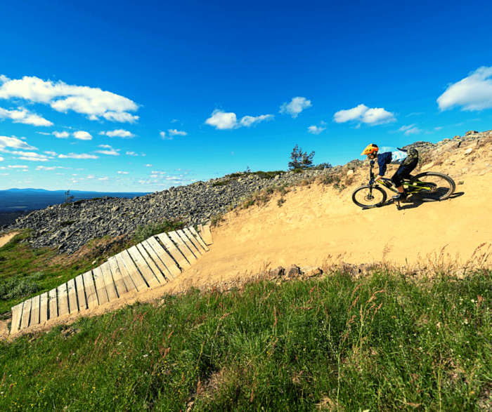 Riding Downhill on a Hardtail Mountain Bike